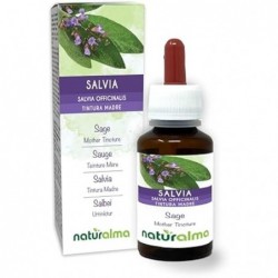 Salvia (Salvia officinalis)...